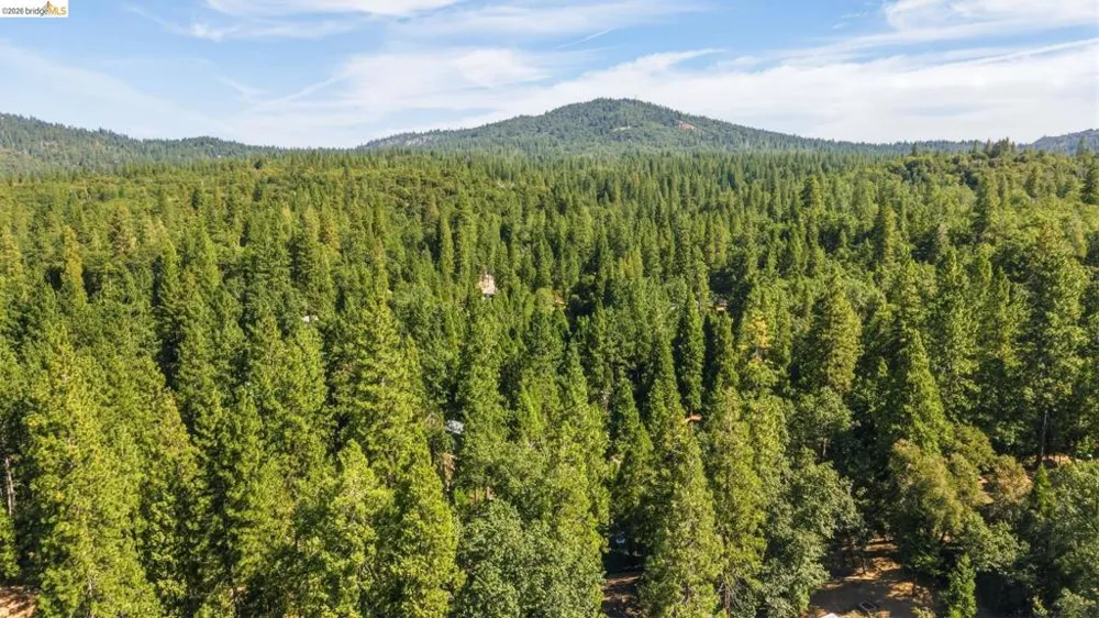 22501 W Rhine River Dr Sonora, CA 95370