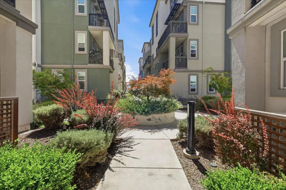 1463 Lavender Loop Milpitas, CA 95035