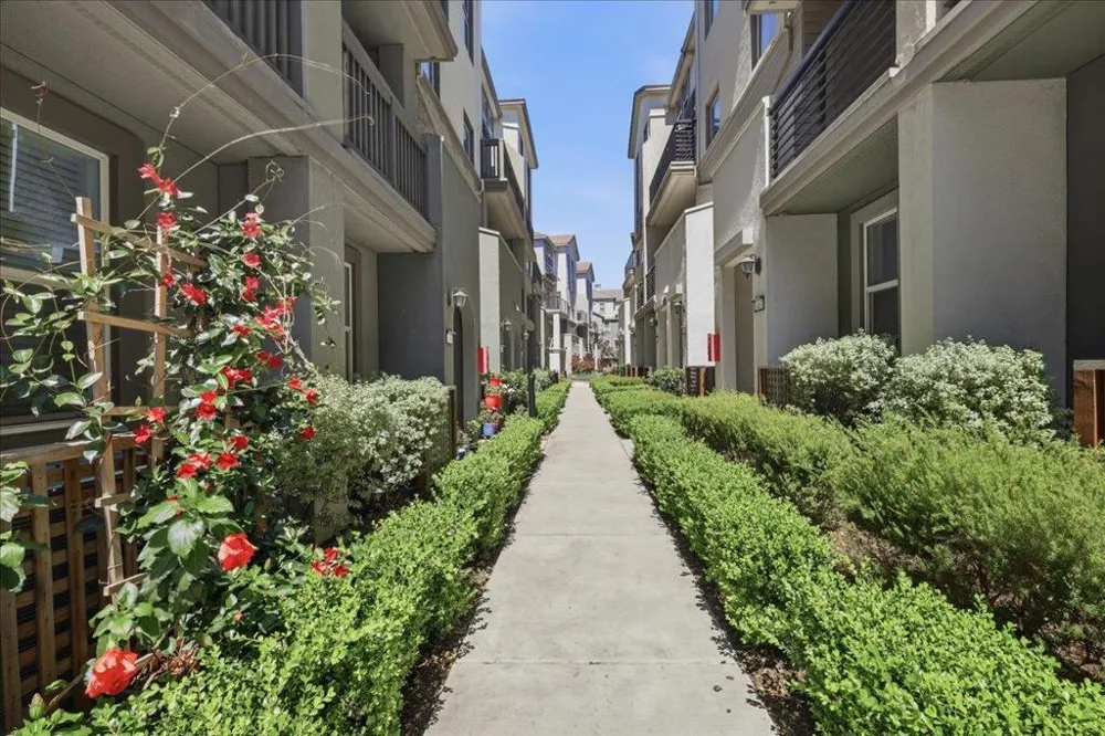 1463 Lavender Loop Milpitas, CA 95035