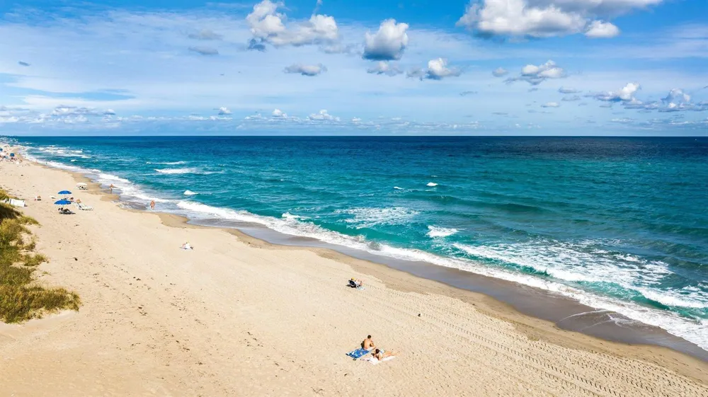 310 S OCEAN BOULEVARD #2040 Boca Raton, FL 33432