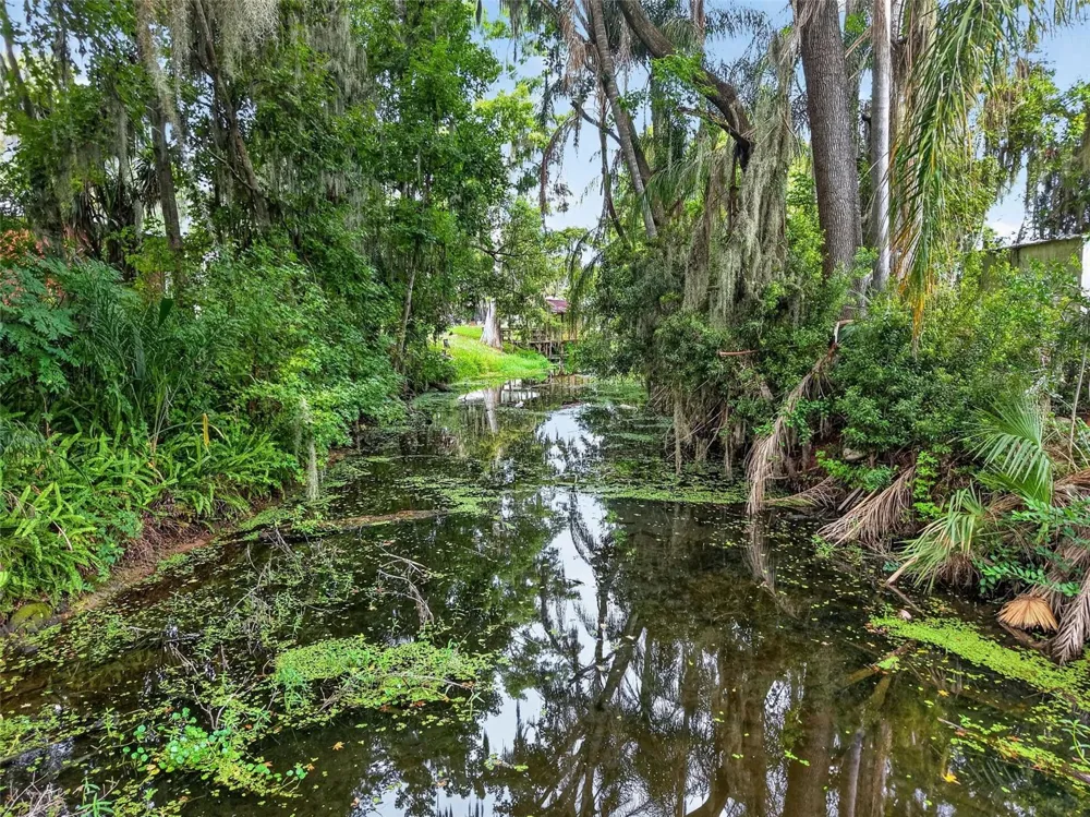 8050 SPRING DRIVE Yalaha, FL 34797