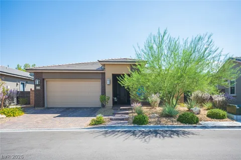 11113 Black Fire Opal Drive