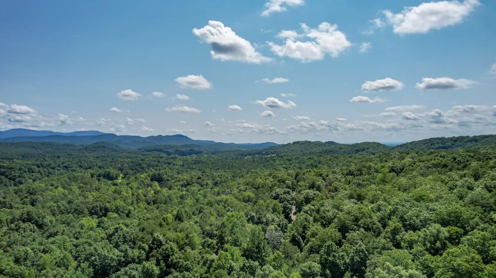 0 Horns Creek Road Old Fort, TN 37362