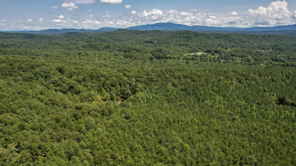 0 Horns Creek Road Old Fort, TN 37362