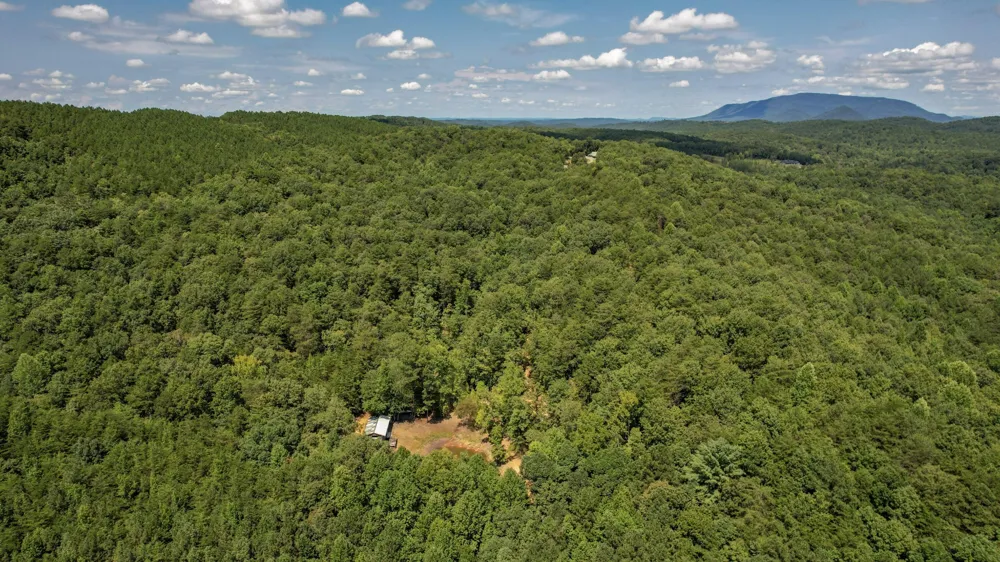 0 Horns Creek Road Old Fort, TN 37362