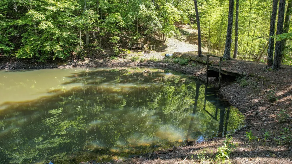 0 Horns Creek Road Old Fort, TN 37362