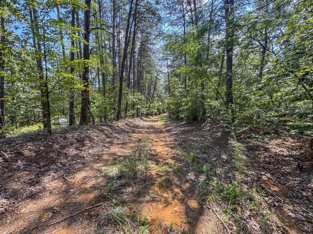 0 Horns Creek Road Old Fort, TN 37362