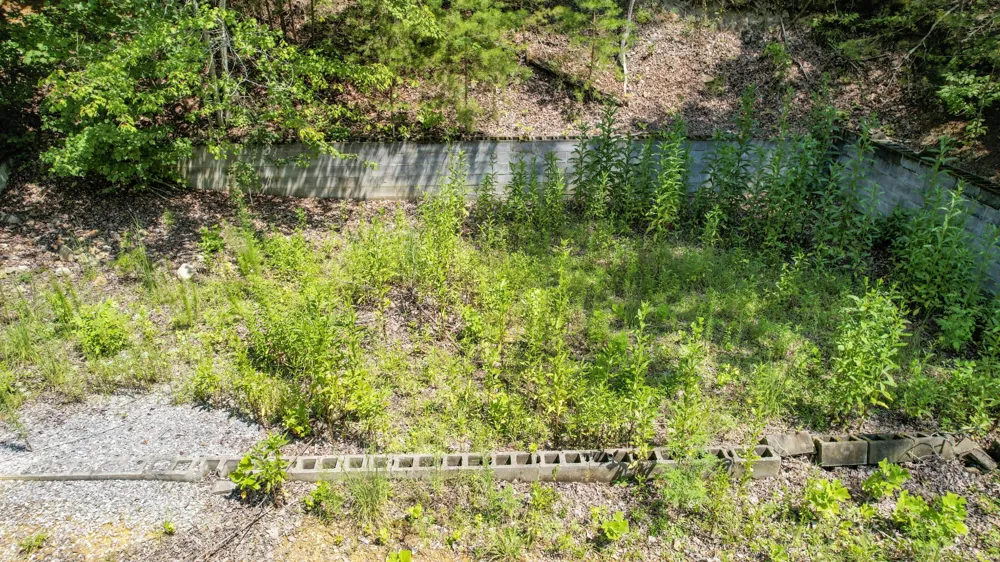 0 Horns Creek Road Old Fort, TN 37362