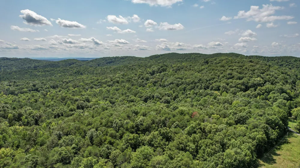 0 Horns Creek Road Old Fort, TN 37362