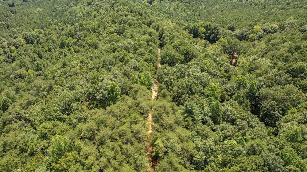 0 Horns Creek Road Old Fort, TN 37362