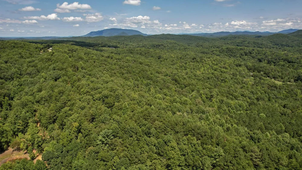 0 Horns Creek Road Old Fort, TN 37362