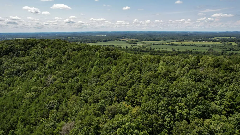 0 Horns Creek Road Old Fort, TN 37362
