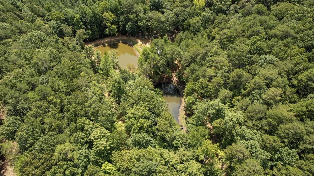 0 Horns Creek Road Old Fort, TN 37362