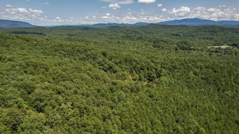 0 Horns Creek Road Old Fort, TN 37362