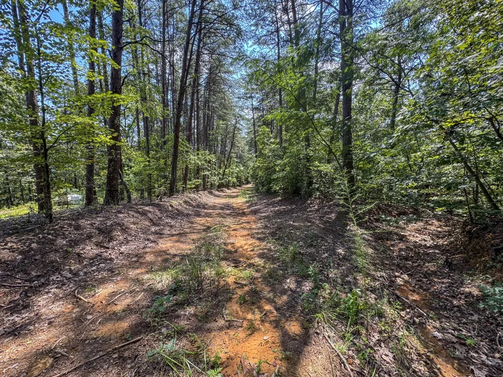 0 Horns Creek Road Old Fort, TN 37362