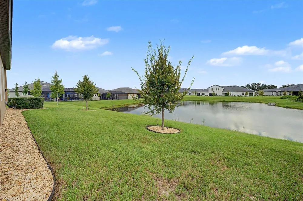 31727 CARDINAL YARD DRIVE San Antonio, FL 33576