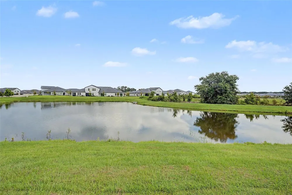 31727 CARDINAL YARD DRIVE San Antonio, FL 33576
