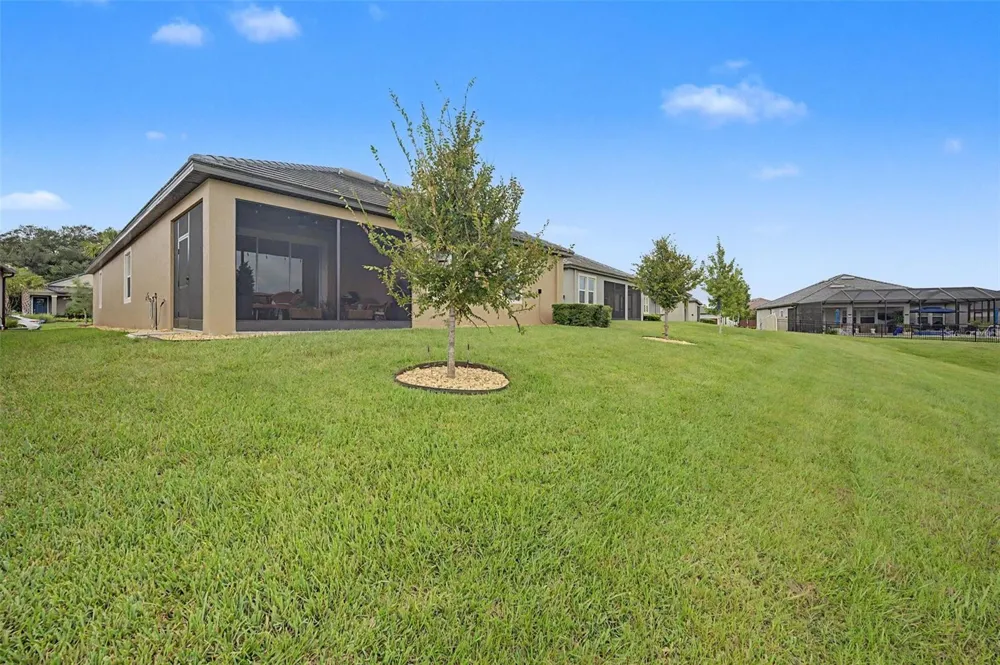 31727 CARDINAL YARD DRIVE San Antonio, FL 33576