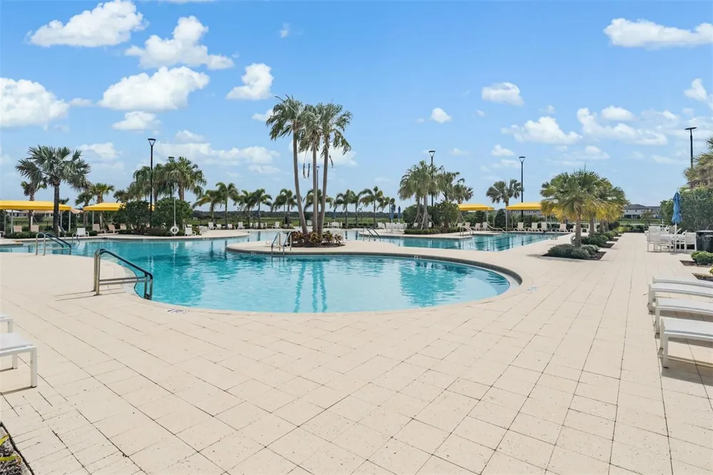 31727 CARDINAL YARD DRIVE San Antonio, FL 33576