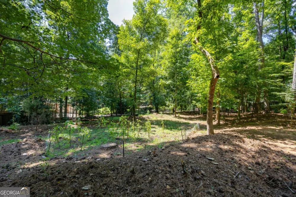 1100 Arya DR Roswell, GA 30076