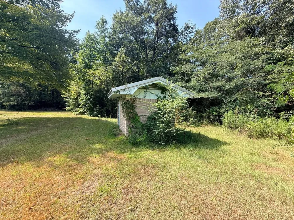 1195 US Highway 96 Pineland, TX 75968