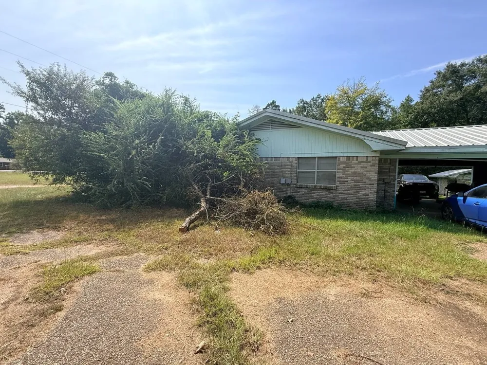 1195 US Highway 96 Pineland, TX 75968