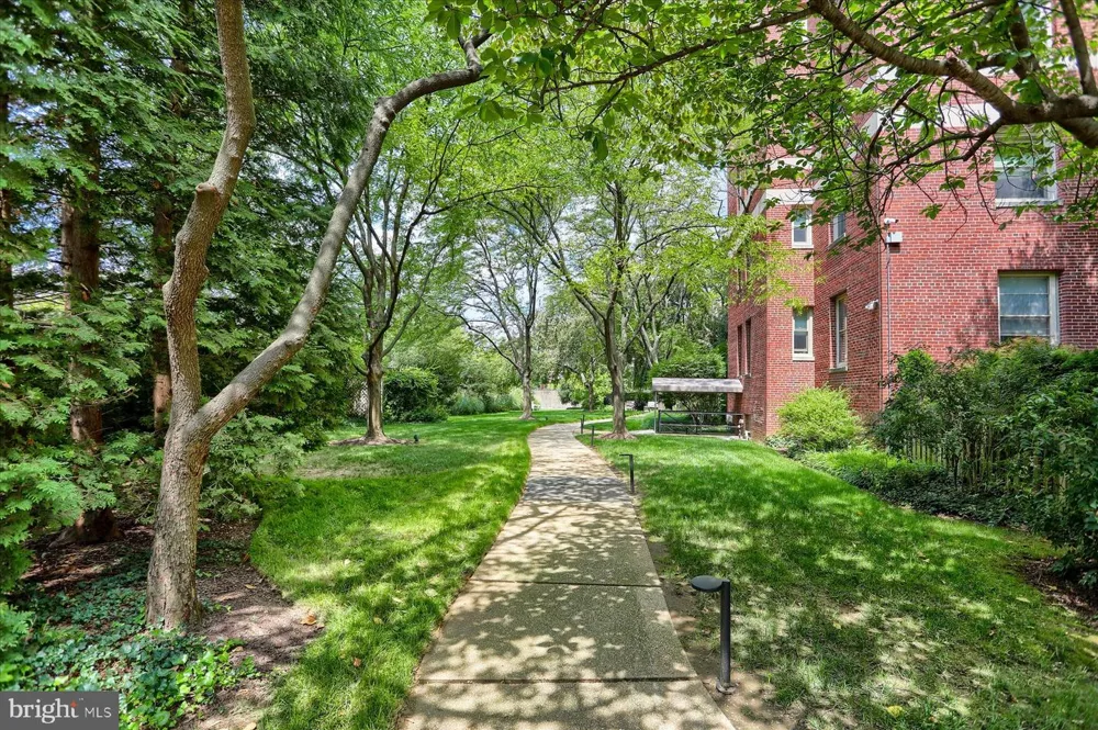 3908 CHARLES STREET #1102 Baltimore, MD 21218