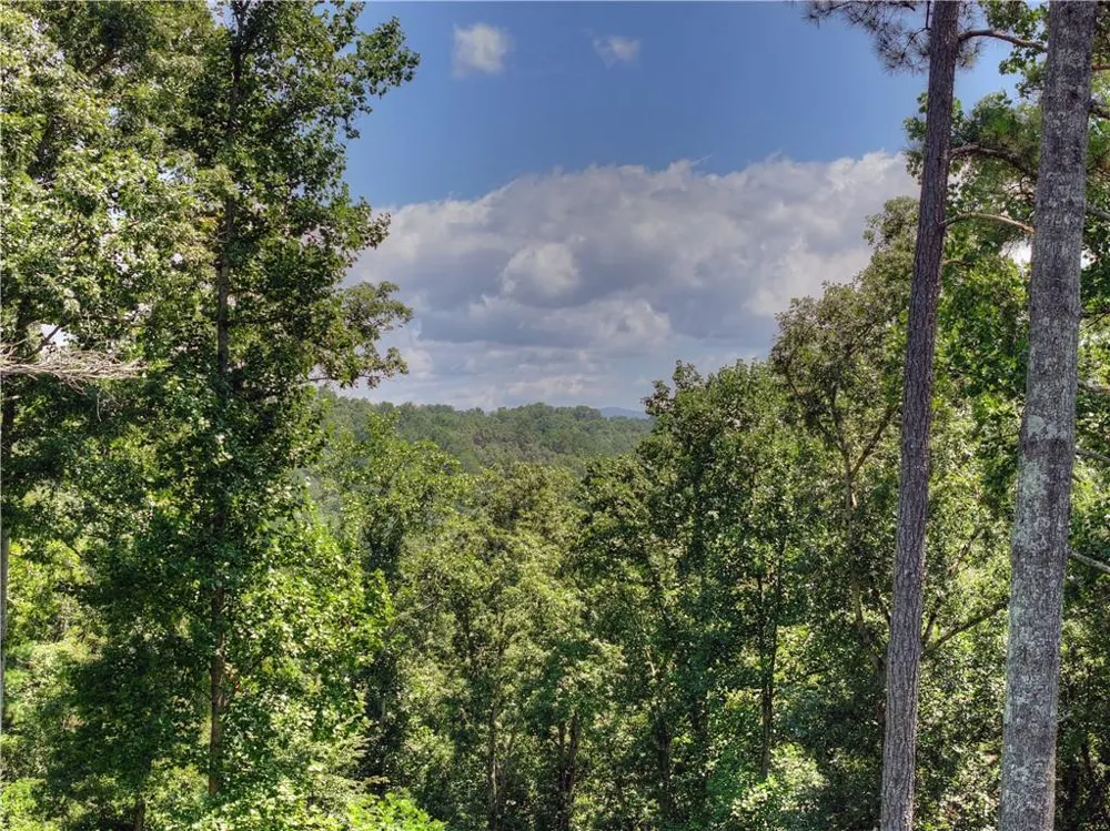196 Jakes Landing Way Ellijay, GA 30540