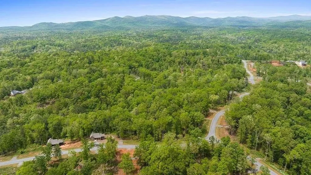196 Jakes Landing Way Ellijay, GA 30540