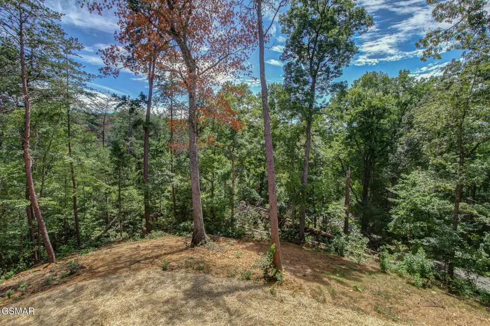 1756 Stinnett Road Sevierville, TN 37876