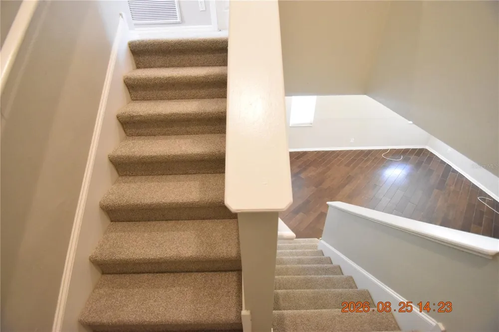 556 BLACK LION DRIVE NE #556 St Petersburg, FL 33716