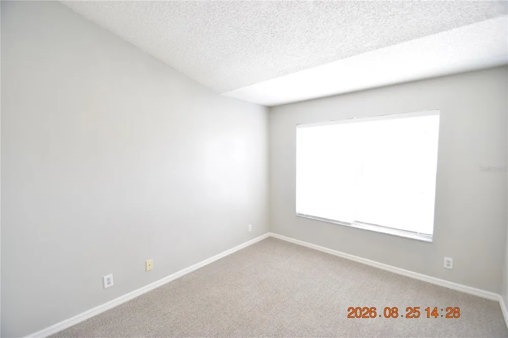 556 BLACK LION DRIVE NE #556 St Petersburg, FL 33716