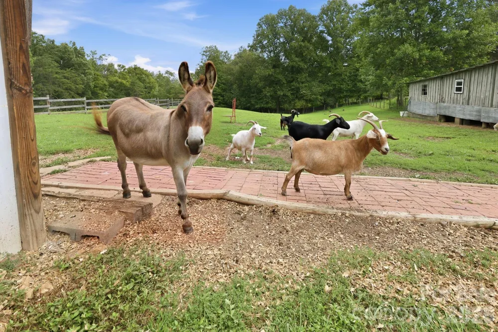 2595 Henderson Mill Road Morganton, NC 28655