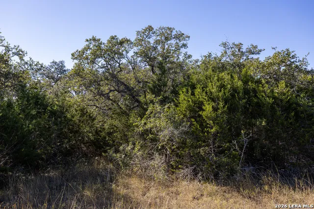 BLOCK 3, LOT 10 Easy Money Boerne, TX 78006