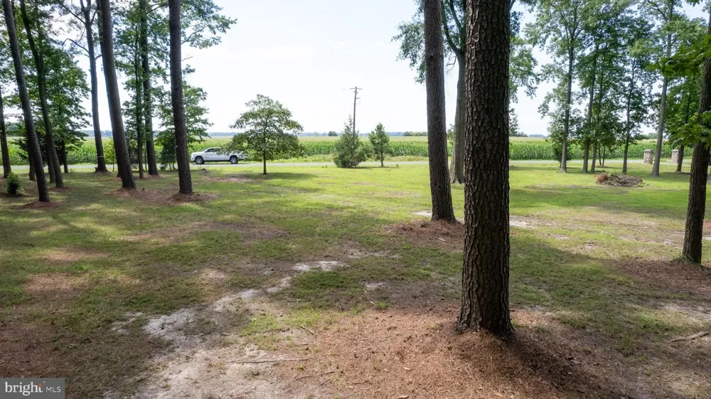HORNS POINT ROAD Cambridge, MD 21613