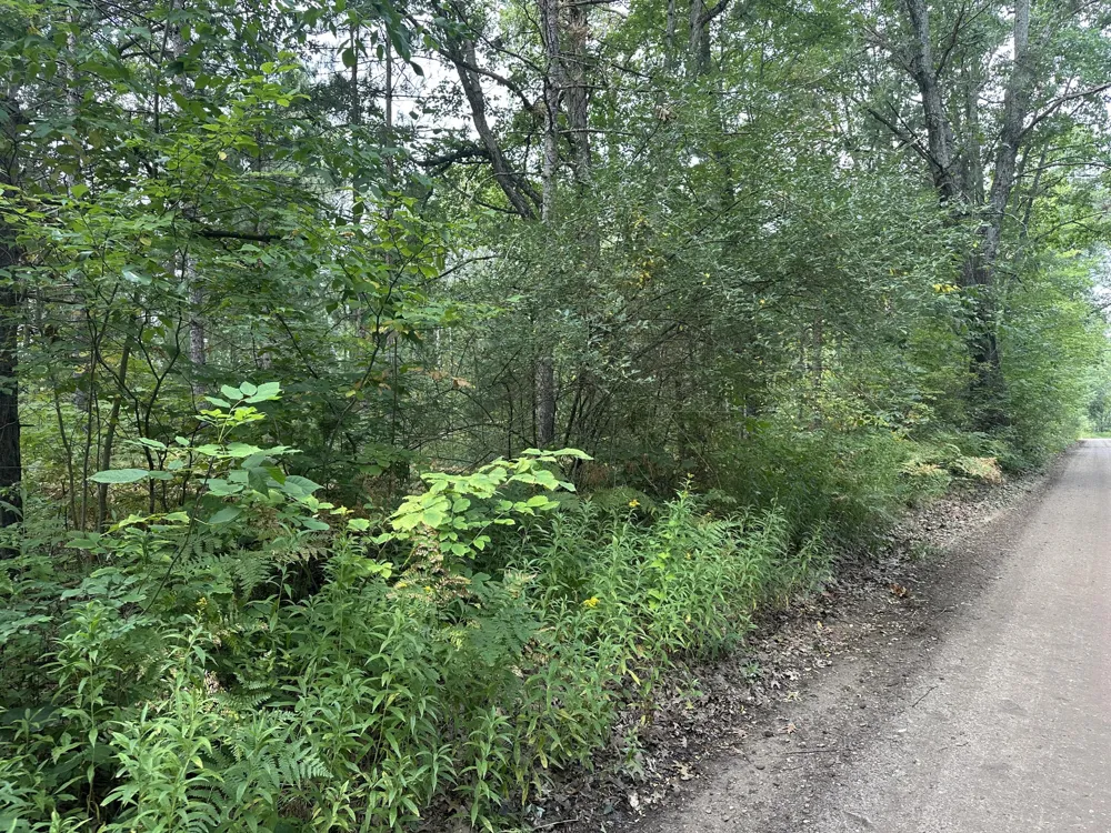 Beaver Road Bitely, MI 49309