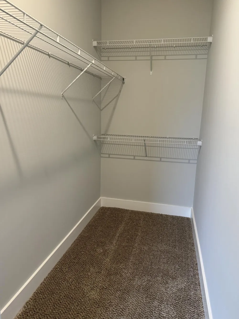 473 Corinth Circle Dundee, MI 48131