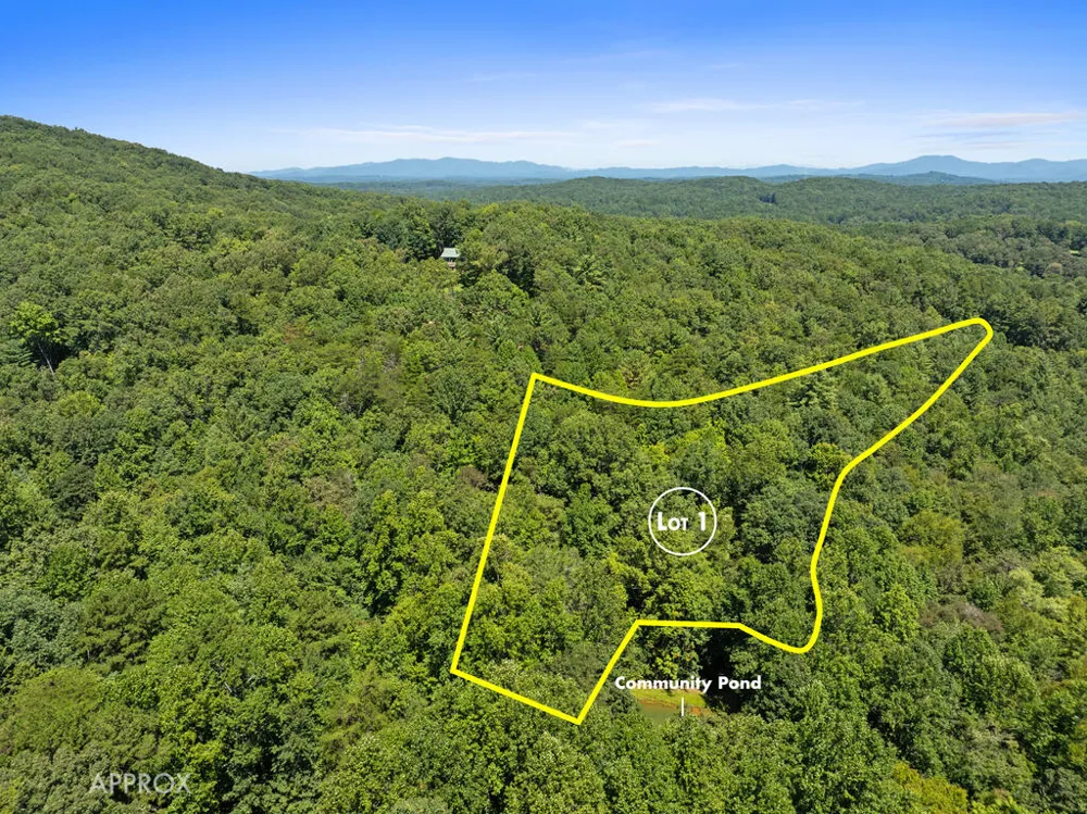 Lot 1 Natures Way Blue Ridge, GA 30513
