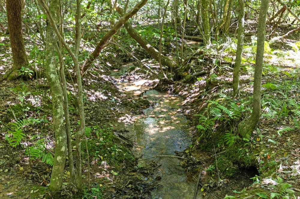 Lot 1 Natures Way Blue Ridge, GA 30513