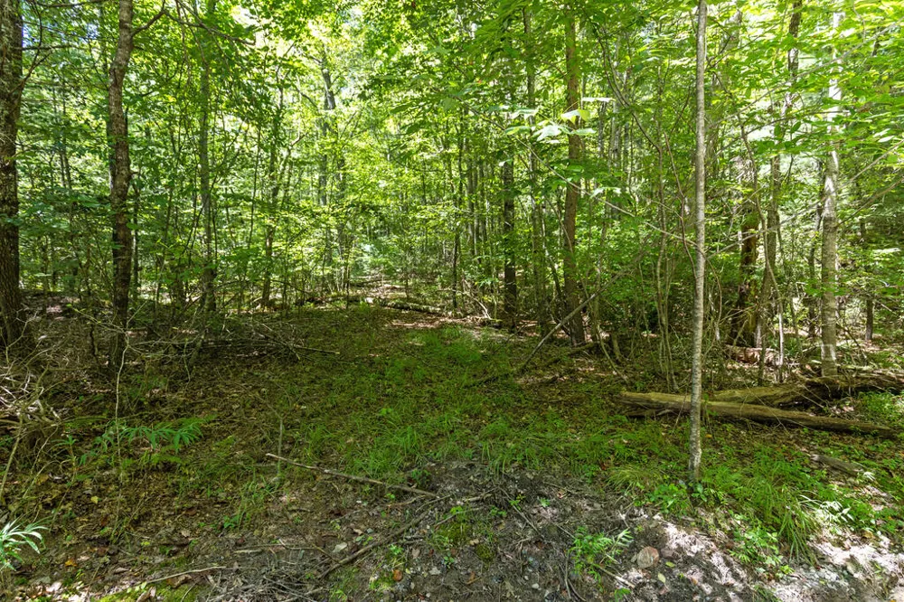 Lot 1 Natures Way Blue Ridge, GA 30513
