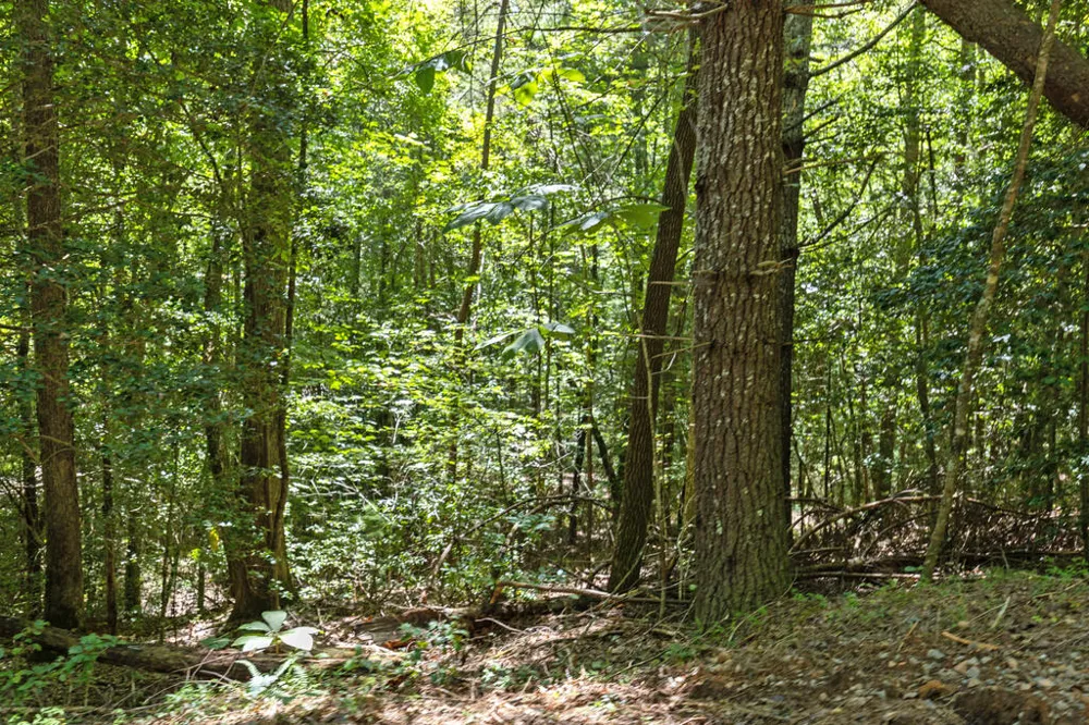 Lot 1 Natures Way Blue Ridge, GA 30513