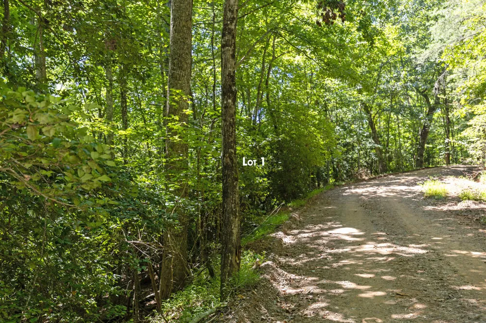 Lot 1 Natures Way Blue Ridge, GA 30513