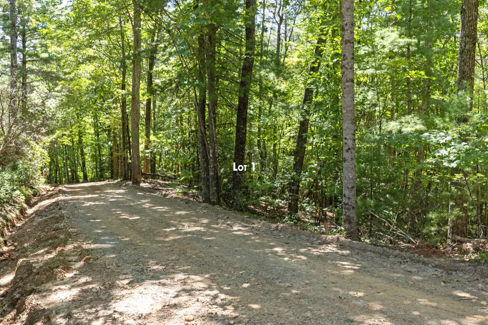 Lot 1 Natures Way Blue Ridge, GA 30513
