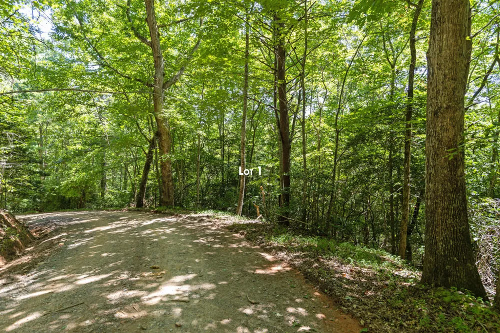 Lot 1 Natures Way Blue Ridge, GA 30513
