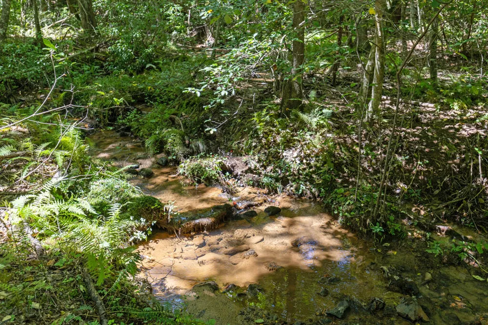 Lot 1 Natures Way Blue Ridge, GA 30513