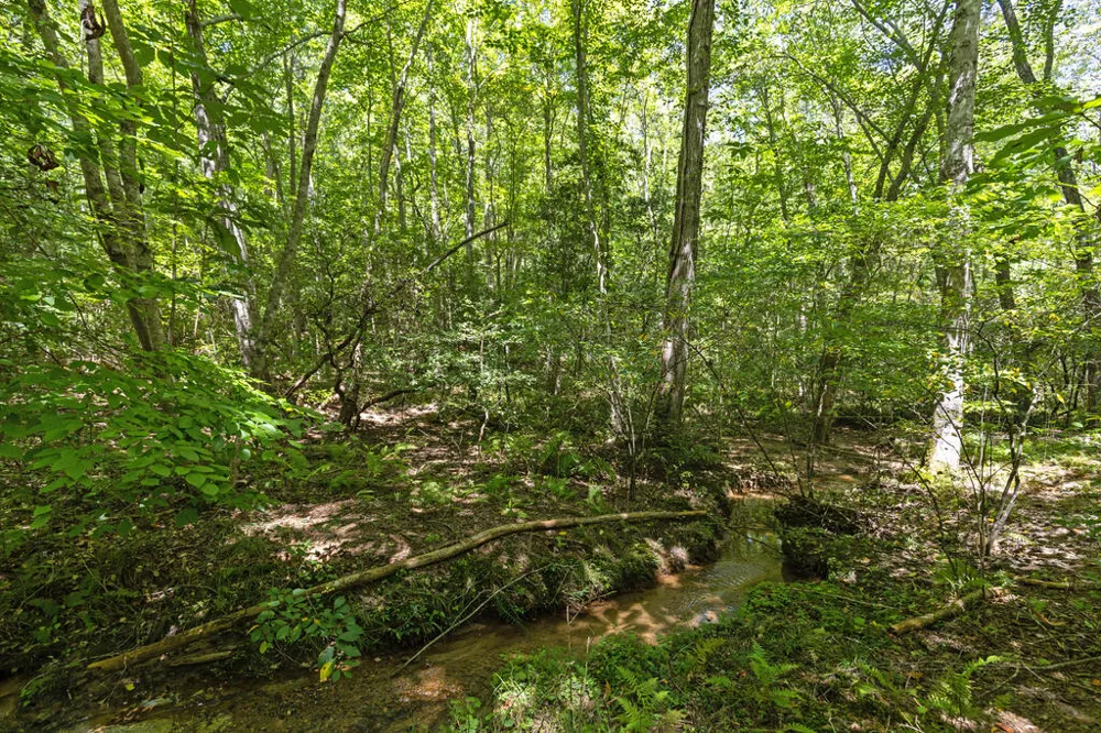 Lot 1 Natures Way Blue Ridge, GA 30513