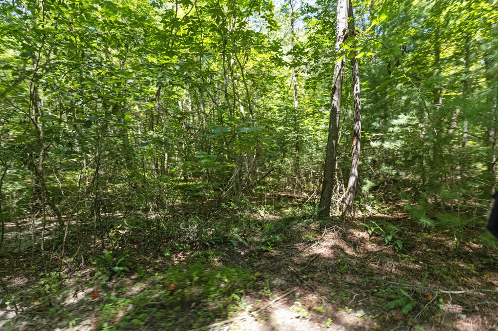 Lot 1 Natures Way Blue Ridge, GA 30513