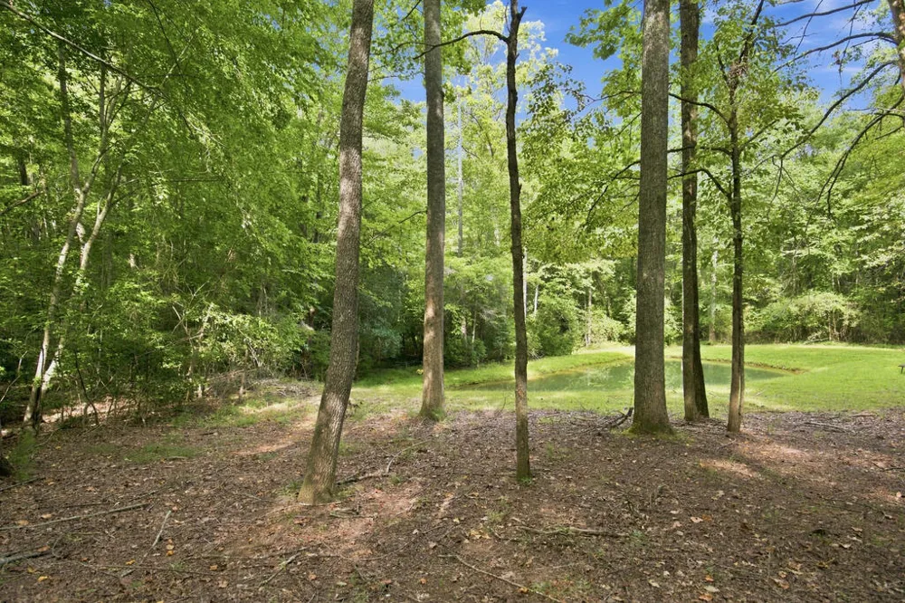 Lot 1 Natures Way Blue Ridge, GA 30513