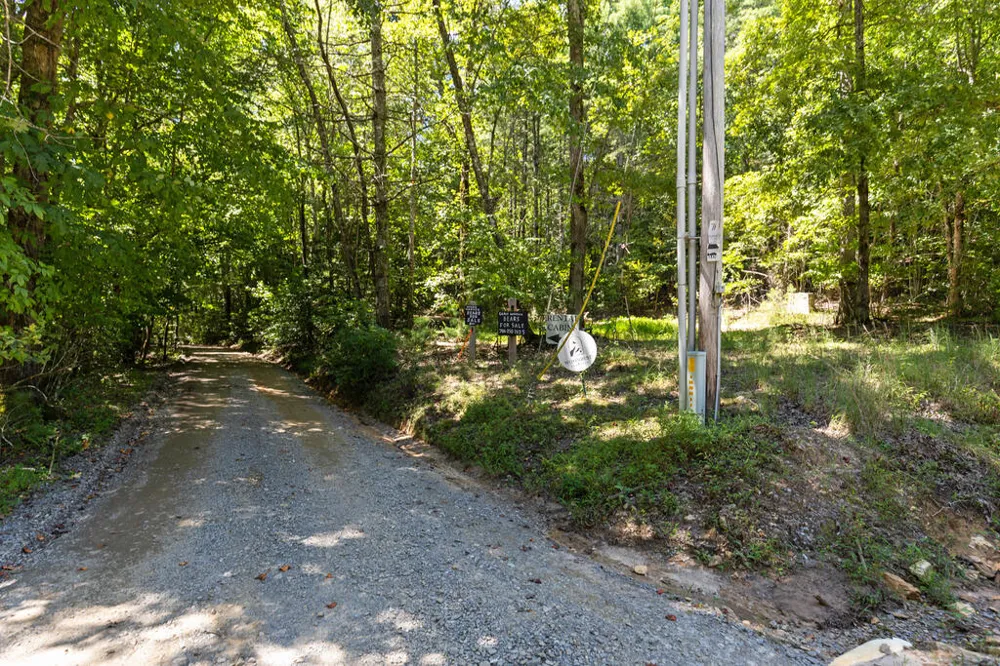 Lot 1 Natures Way Blue Ridge, GA 30513