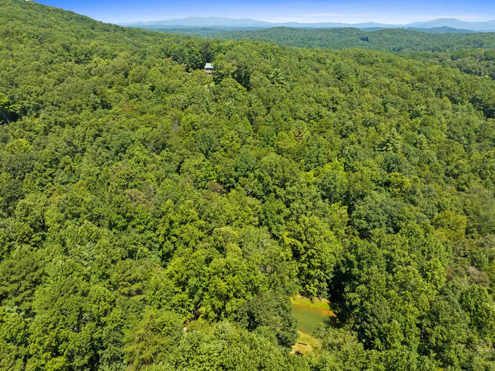Lot 1 Natures Way Blue Ridge, GA 30513